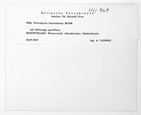 Image Associated With the Occurence